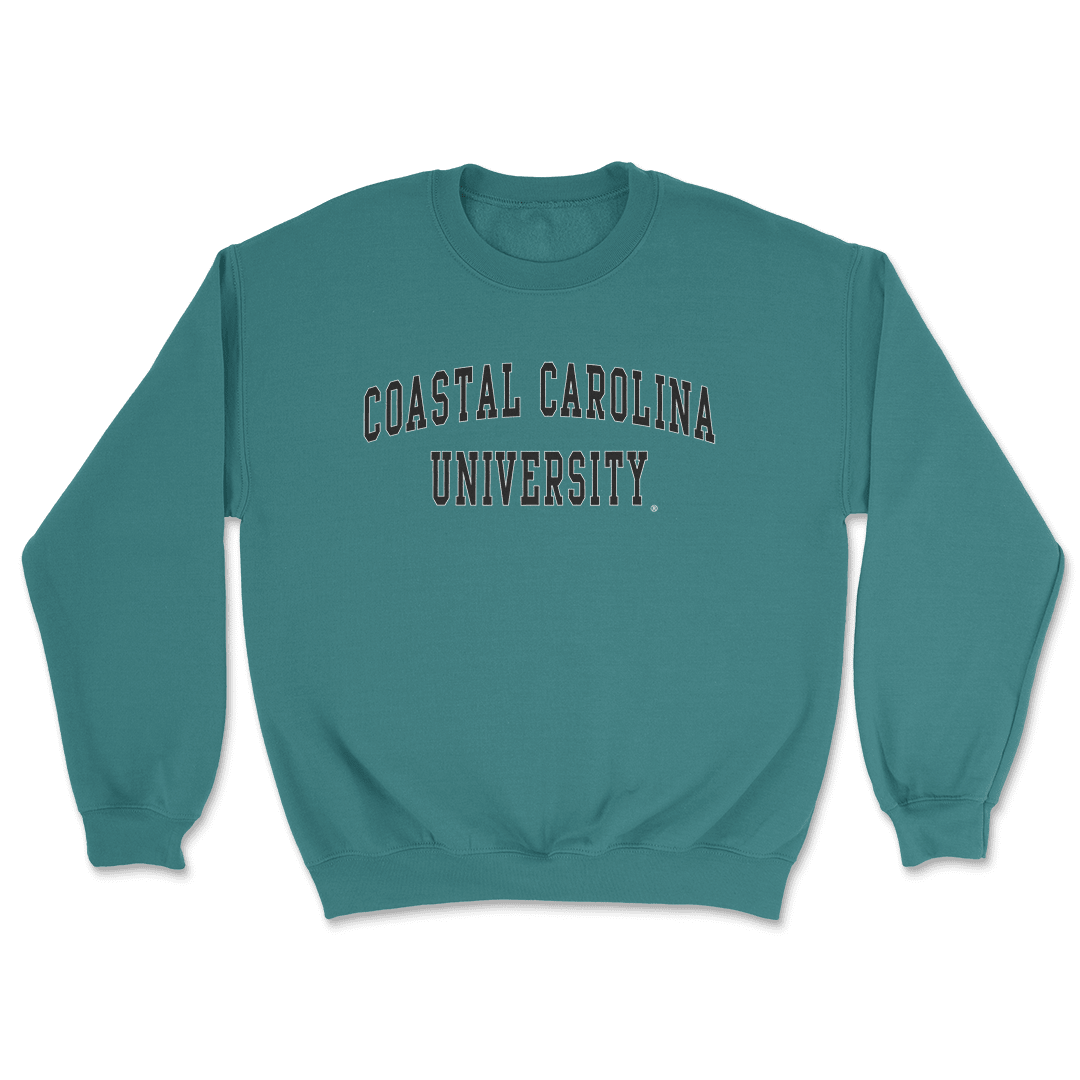 Coastal hot sale carolina sweatshirt